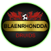 Wappen Blaenrhondda Druids