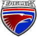 Wappen Eagles Eindhoven