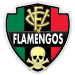 Wappen Vitoria CF Flamengos