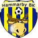 Wappen Hammarby BK
