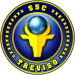 Wappen SSC Treviso