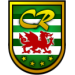 Wappen Celtic Rhydymwyn