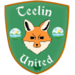 Wappen Teelin United